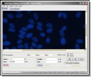 Cell counting (original image)